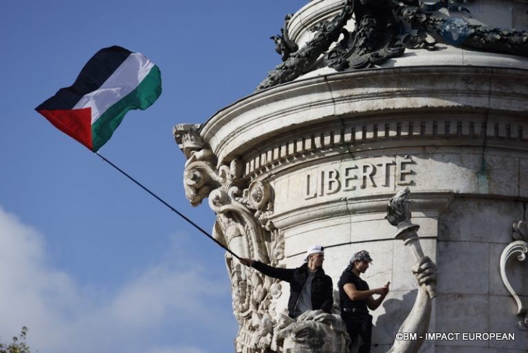 Manifestation pro-Palestinienne 27