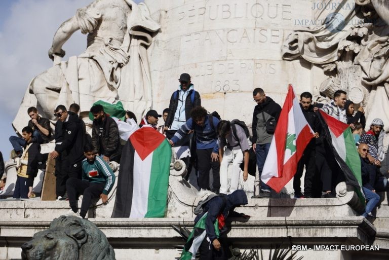 Manifestation pro-Palestinienne 29