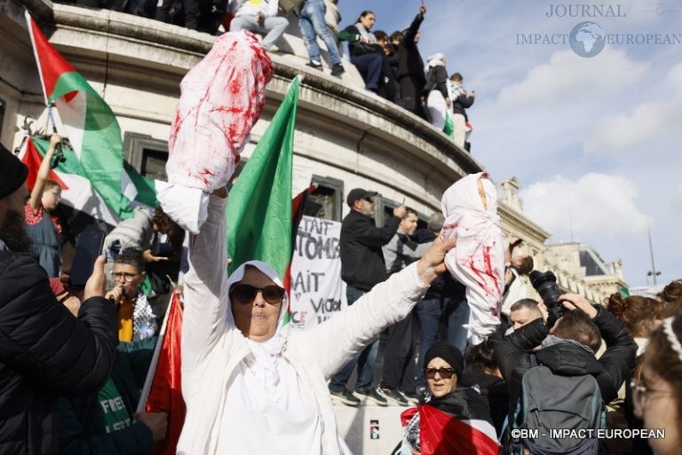 Manifestation pro-Palestinienne 31