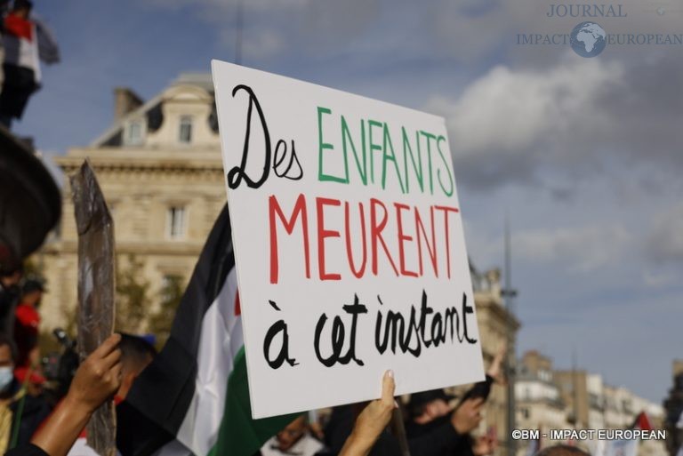 Manifestation pro-Palestinienne 34