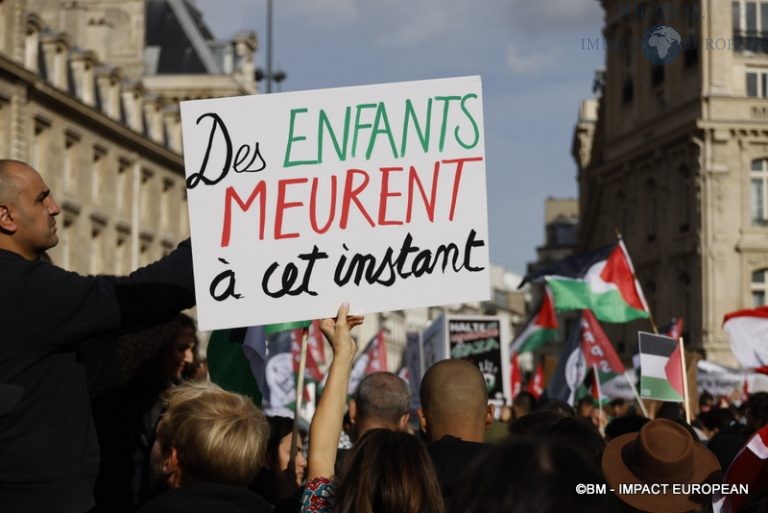 Manifestation pro-Palestinienne 35