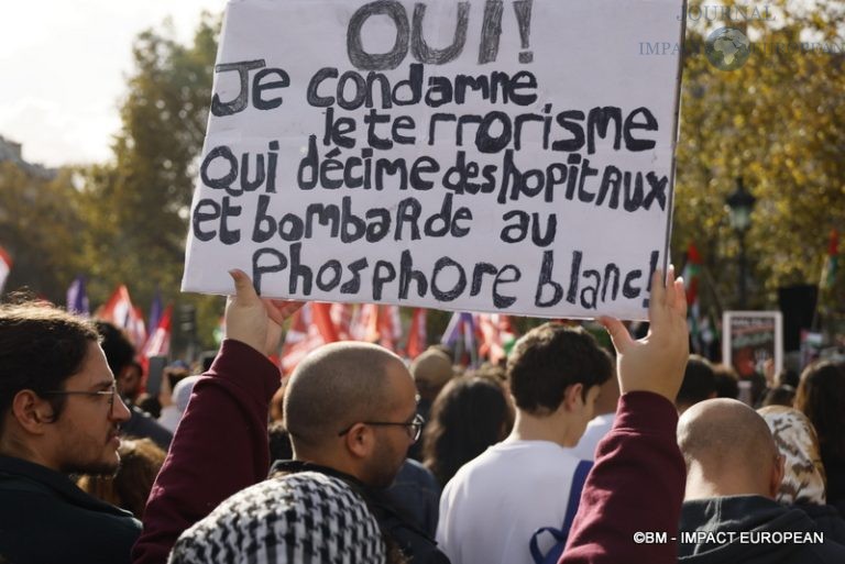 Manifestation pro-Palestinienne 37