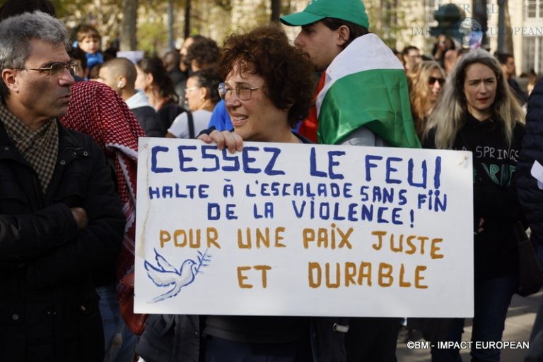 Manifestation pro-Palestinienne 38