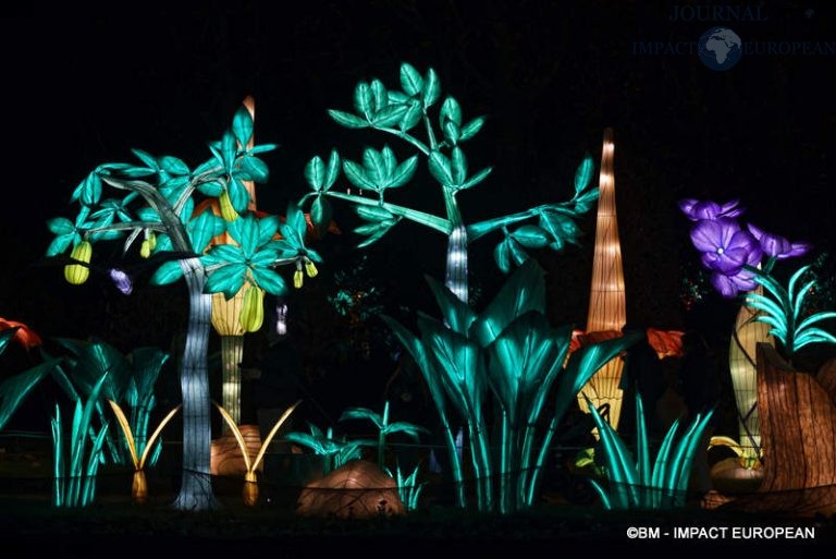 Lanternes Jardin des Plantes 04