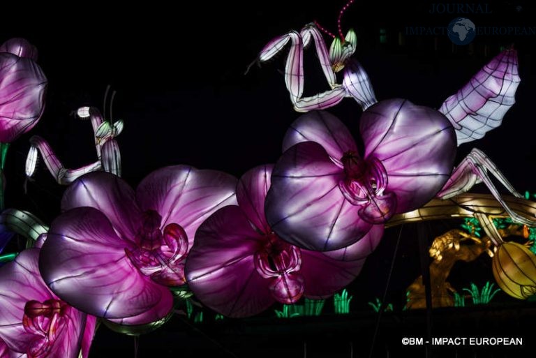 Lanternes Jardin des Plantes 16