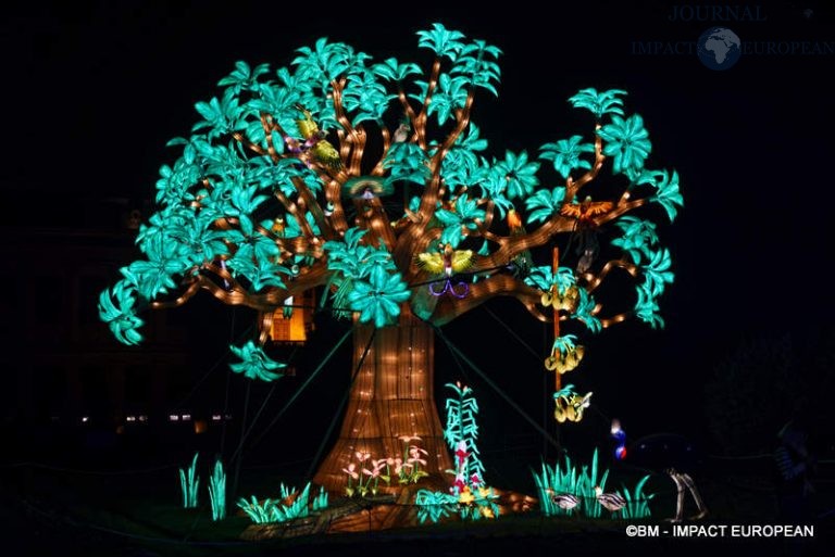 Lanternes Jardin des Plantes 41