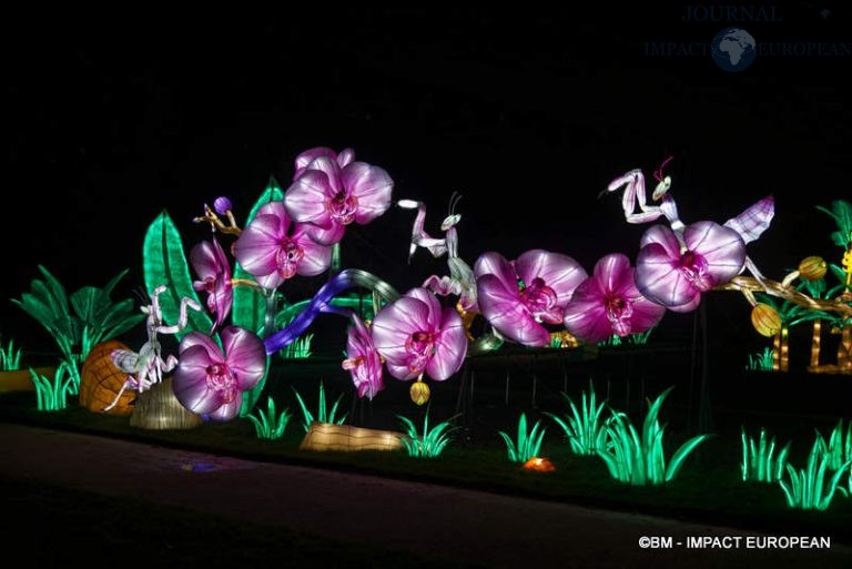 Lanternes Jardin des Plantes 45