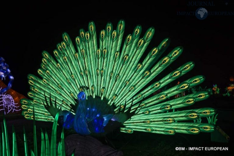 Lanternes Jardin des Plantes 47