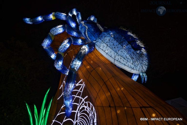 Lanternes Jardin des Plantes 52