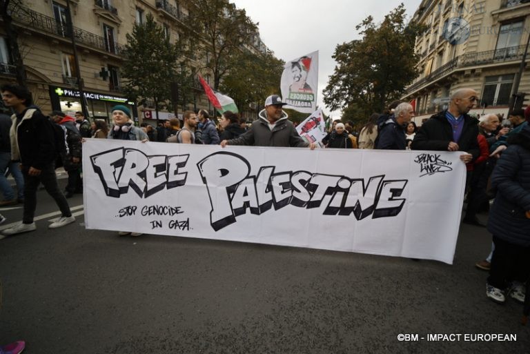 Manif pour la paix à Gaza 039