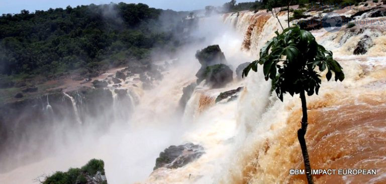 Chutes d'Iguazu Argentine 11