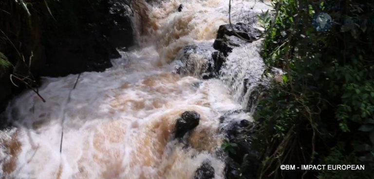 Chutes d'Iguazu Argentine 13