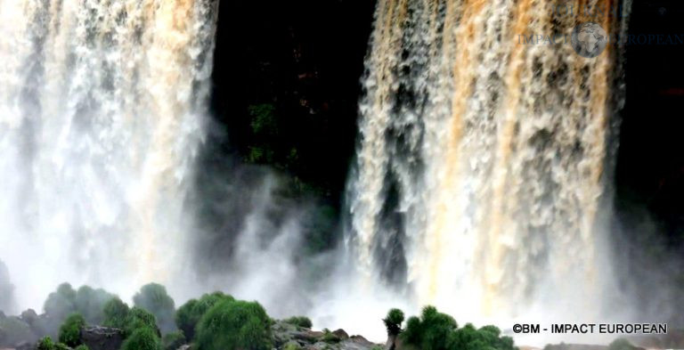 Chutes d'Iguazu Argentine 22