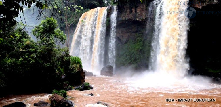 Chutes d'Iguazu Argentine 27