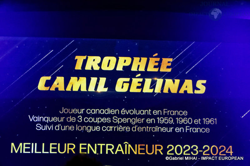 IMG_8482Trophée-hockey sur glace