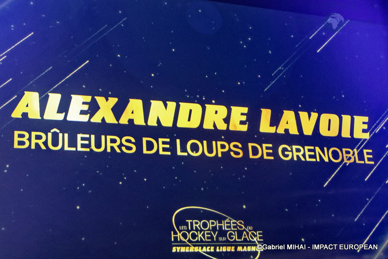 IMG_8568Trophée-hockey sur glace