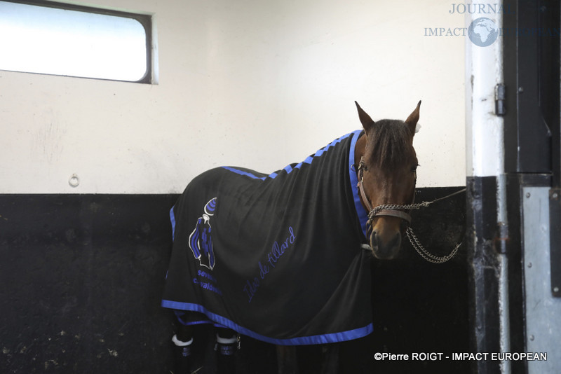 Prix d’Amérique Legend Race 1