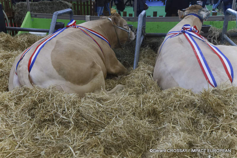 61e édition du Salon international de l’agriculture