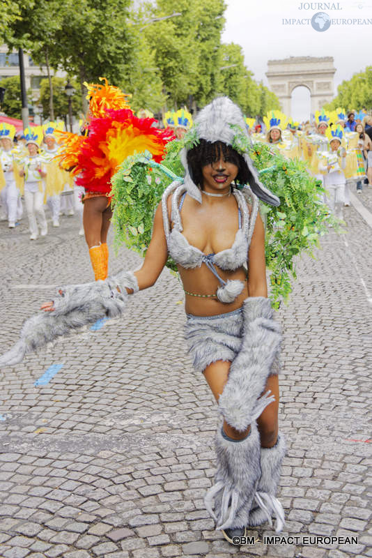 Carnaval Tropical 037