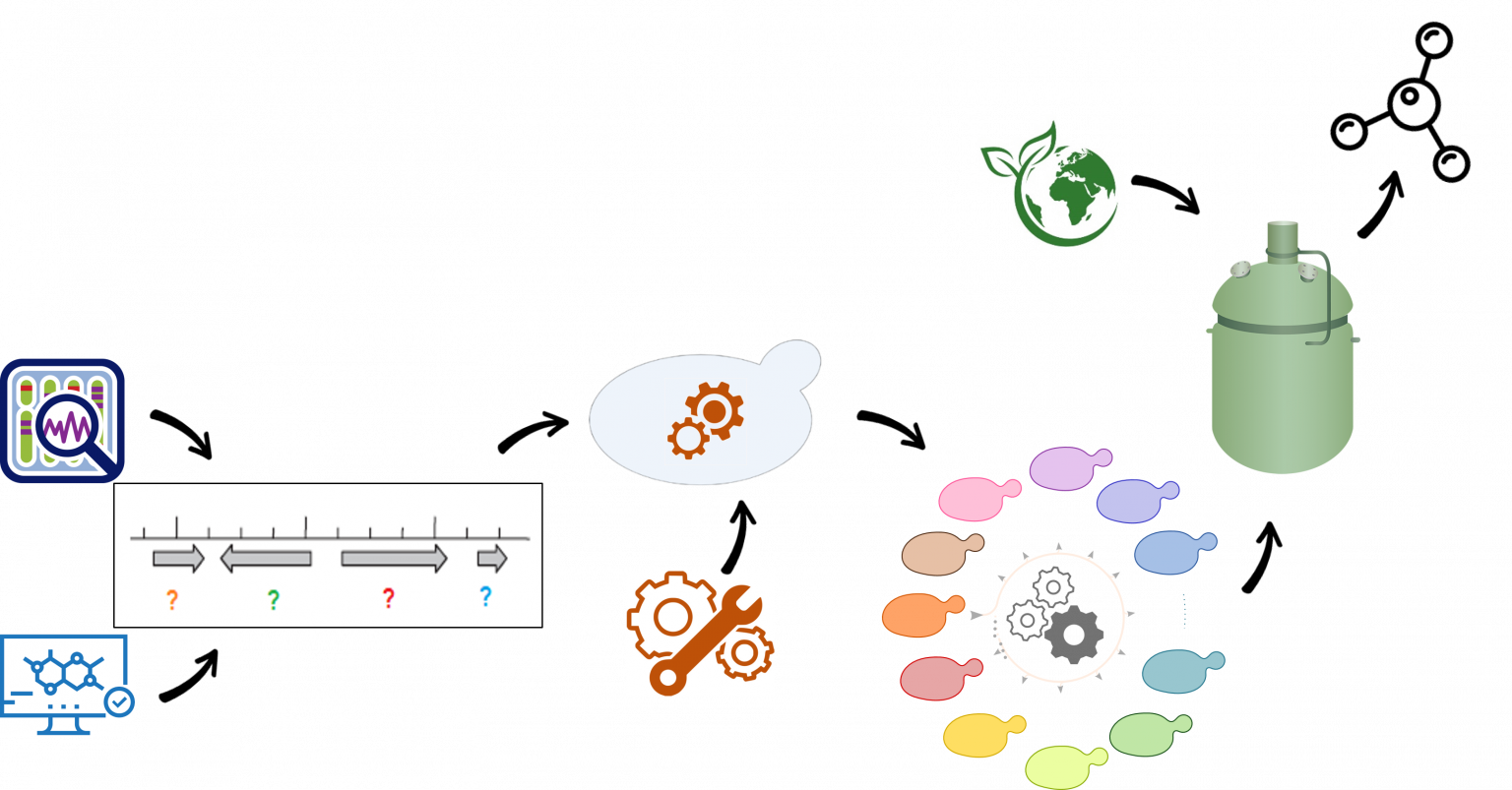 InBio.be – Centre for Industrial Biotechnology and Biocatalysis