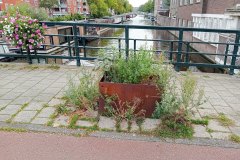 Hennetjesbrug - Oud-West, Amsterdam (1 oktober 2023)