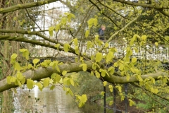 Vondelpark, Willemspark, Amsterdam