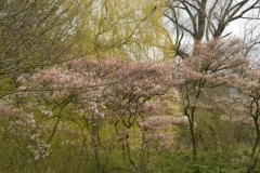 Vondelpark, Willemspark, Amsterdam