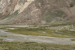 Rangdum - Ladakh (1-7-2018)