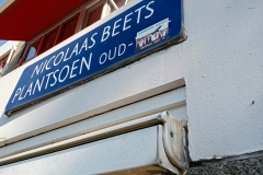 Nicolaas Beetsplantsoen - Oud-West, Amsterdam (10 juni 2023)