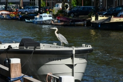 Jacob van Lennepkanaal - Oud-West, Amsterdam (11-6-2022)