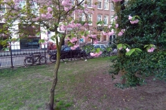 Bilderdijkpark, Da Costabuurt, Amsterdam