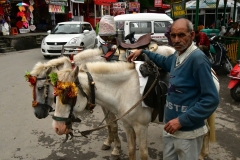 Dalhousie – Himachal Pradesh (12 Augustus 2018)