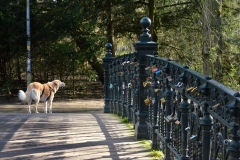 Pater van Kilsdonkbrug, Vondelpark, Amsterdam