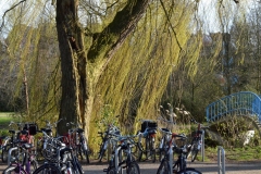 Blauwe Bruggetje / C.V. Gerritsenbrug, Vondelpark, Amsterdam