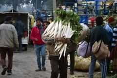 Groentemarkt - Sector 40-A - Chandigarh (13-2-2019)