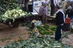 Groentemarkt - Sector 40-A - Chandigarh (13-2-2019)