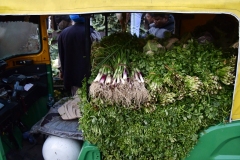 Groentemarkt - Sector 40-A - Chandigarh (13-2-2019)