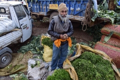 Groentemarkt - Sector 40-A - Chandigarh (13-2-2019)