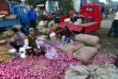 Groentemarkt - Sector 40-A - Chandigarh (13-2-2019)