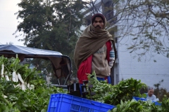 Groentemarkt - Sector 40-A - Chandigarh (13-2-2019)