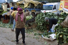 Groentemarkt - Sector 40-A - Chandigarh (13-2-2019)