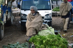 Groentemarkt - Sector 40-A - Chandigarh (13-2-2019)