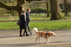 Vondelpark, Amsterdam