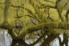 Vondelpark, Amsterdam