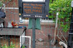 Arie Biemondstraat, WG-terrein - Oud-West, Amsterdam (15 juli 2023)