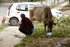 Chandigarh, Sector 40-A, Sector 39