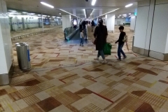 Indira Gandhi International Airport (15-6-2018)