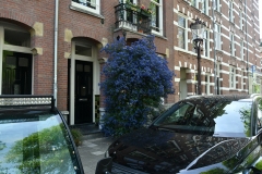 Jacob van Lennepstraat, Amsterdam (15-5-2022)