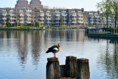 Kanaal, Vaart en Grachtenkruispunt - Oud-West, Amsterdam (16-4-2022)