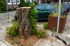 Borgerstraat, Oud-West, Amsterdam (16.07.2021)